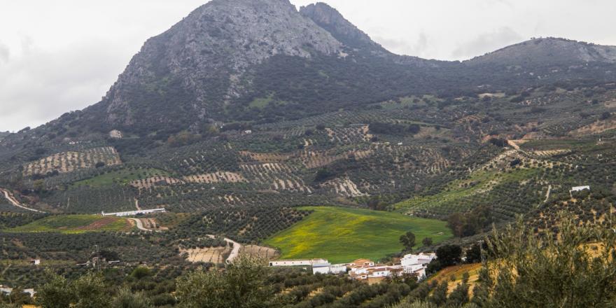 38-(7)-ALGÁMITAS-El Peñón de Algámitas
